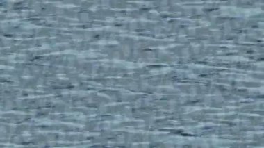 Estetik doku arkaplan tasarımı renkli hareket grafikleri ile moda film giriş profosyoneli