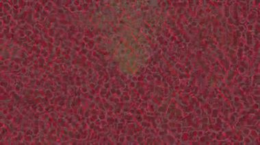 Benzersiz hareket dokusu tasarım sanatı ile profesyonel video düzenleme için modern soyut grafikler