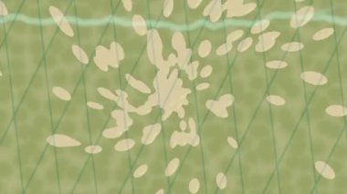 Benzersiz hareket dokusu tasarım sanatı ile profesyonel video düzenleme için modern soyut grafikler