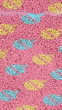 Estetik doku arkaplan tasarımı renkli hareket grafikleri ile moda film giriş profosyoneli