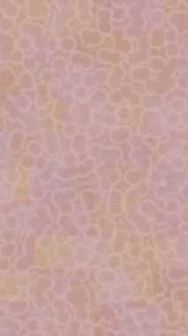 Lüks hareket projeleri için soyut tasarım stili animasyonu olan üst düzey dijital doku