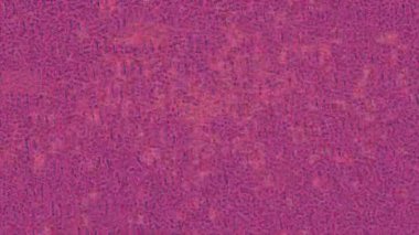 Profesyonel video projeleri sanat tarzı için organik hareketli arkaplan tasarımı