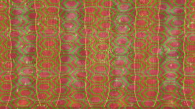 Lüks hareket projeleri için soyut tasarım stili animasyonu olan üst düzey dijital doku