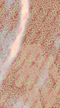 Lüks hareket tasarımı üst düzey video projeleri ve dijital sanat için zarif, pürüzsüz bir dokusu var.