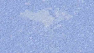 Lüks hareket tasarımı üst düzey video projeleri ve dijital sanat için zarif, pürüzsüz bir dokusu var.