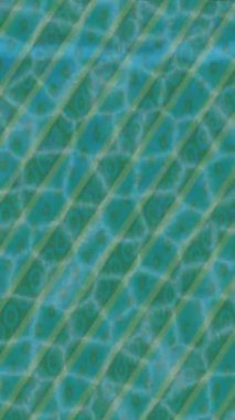 Dijital doku yüzey tasarım biçimi ile modern video animasyonu için gelişmiş hareket grafikleri