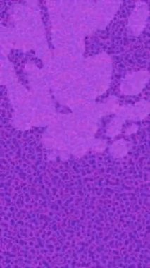 Modern medya üretimi için fütüristik dijital soyut doku sinematik tarz hareketli grafik ögesi