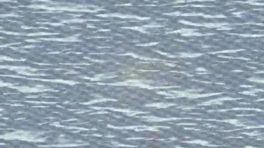 Soyut hareket desenli fütüristik video üretimi için dinamik dijital arkaplan