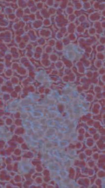 Estetik doku arkaplan tasarımı renkli hareket grafikleri ile moda film giriş profosyoneli