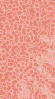 Estetik doku arkaplan tasarımı renkli hareket grafikleri ile moda film giriş profosyoneli