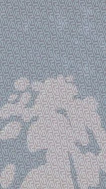 Benzersiz dijital hareket grafiklerine sahip yaratıcı sinematik projeler için yumuşak animasyon yüzeyi