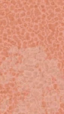 Yaratıcı video düzenleme film arkaplan tasarımı için minimalist organik hareket grafikleri