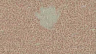 Soyut hareket desenli fütüristik video üretimi için dinamik dijital arkaplan