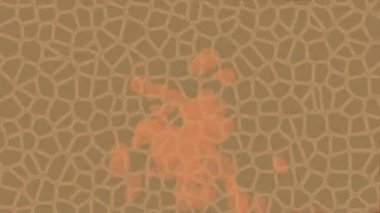 Benzersiz dijital animasyon tarzı grafikleri olan yaratıcı ortam tasarımı için yenilikçi hareket dokusu