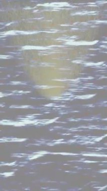 Benzersiz hareket grafikleri tasarım sanatına sahip yaratıcı film üretimi için özet bir arkaplan