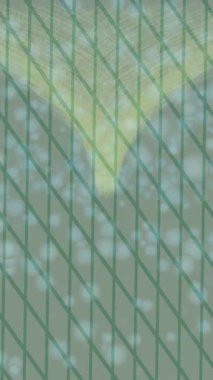 Lüks hareket tasarımı üst düzey video projeleri ve dijital sanat için zarif, pürüzsüz bir dokusu var.