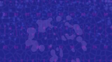 Benzersiz dijital hareket grafiklerine sahip yaratıcı sinematik projeler için yumuşak animasyon yüzeyi