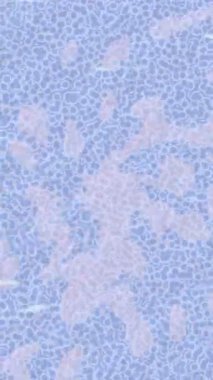 Benzersiz dijital hareket grafiklerine sahip yaratıcı sinematik projeler için yumuşak animasyon yüzeyi