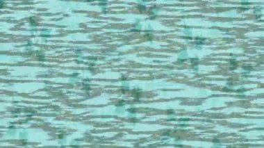 Benzersiz dijital hareket grafiklerine sahip yaratıcı sinematik projeler için yumuşak animasyon yüzeyi