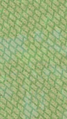 Lüks hareket tasarımı üst düzey video projeleri ve dijital sanat için zarif, pürüzsüz bir dokusu var.