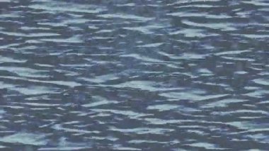 Estetik doku arkaplan tasarımı renkli hareket grafikleri ile moda film giriş profosyoneli