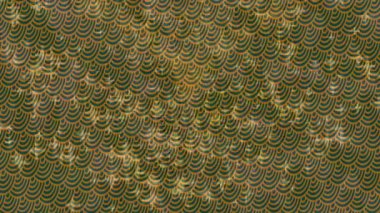 Benzersiz dijital animasyon tarzı grafikleri olan yaratıcı ortam tasarımı için yenilikçi hareket dokusu