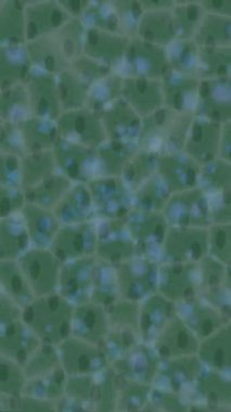 Yaratıcı video düzenleme film arkaplan tasarımı için minimalist organik hareket grafikleri