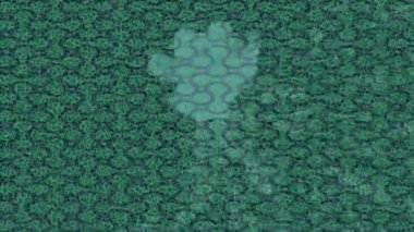 Profesyonel video projeleri sanat tarzı için organik hareketli arkaplan tasarımı