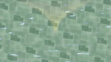 Estetik doku arkaplan tasarımı renkli hareket grafikleri ile moda film giriş profosyoneli