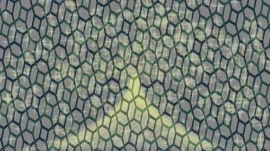 Yaratıcı video düzenleme film arkaplan tasarımı için minimalist organik hareket grafikleri