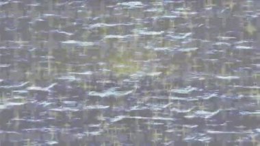 Benzersiz dijital hareket grafiklerine sahip yaratıcı sinematik projeler için yumuşak animasyon yüzeyi