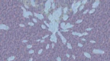 Lüks hareket projeleri için soyut tasarım stili animasyonu olan üst düzey dijital doku