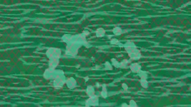 Benzersiz hareket dokusu tasarım sanatı ile profesyonel video düzenleme için modern soyut grafikler