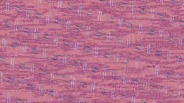 Organik desenli yüzey giriş stili video film sanatı ile soyut arkaplan tasarımı