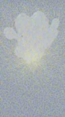 Yaratıcı video düzenleme film arkaplan tasarımı için minimalist organik hareket grafikleri