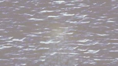 Benzersiz dijital hareket grafiklerine sahip yaratıcı sinematik projeler için yumuşak animasyon yüzeyi