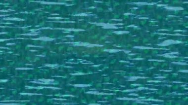 Benzersiz dijital animasyon tarzı grafikleri olan yaratıcı ortam tasarımı için yenilikçi hareket dokusu