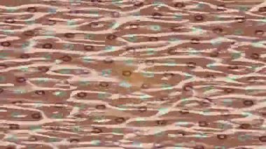 Lüks hareket projeleri için soyut tasarım stili animasyonu olan üst düzey dijital doku