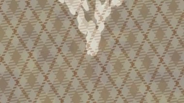 Benzersiz dijital hareket grafiklerine sahip yaratıcı sinematik projeler için yumuşak animasyon yüzeyi