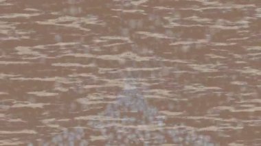 Profesyonel video projeleri sanat tarzı için organik hareketli arkaplan tasarımı