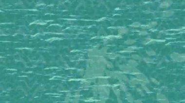 Lüks hareket projeleri için soyut tasarım stili animasyonu olan üst düzey dijital doku