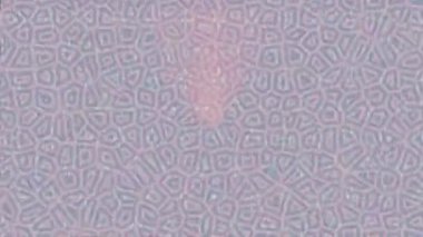 Benzersiz dijital hareket grafiklerine sahip yaratıcı sinematik projeler için yumuşak animasyon yüzeyi