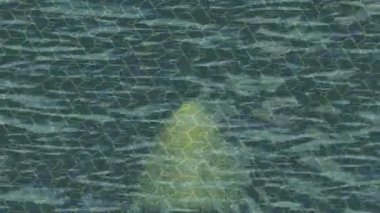 Benzersiz hareket dokusu tasarım sanatı ile profesyonel video düzenleme için modern soyut grafikler