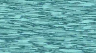 Yaratıcı video düzenleme film arkaplan tasarımı için minimalist organik hareket grafikleri