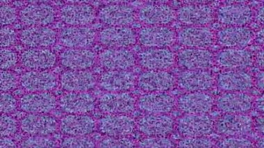 Lüks hareket tasarımı üst düzey video projeleri ve dijital sanat için zarif, pürüzsüz bir dokusu var.