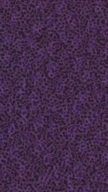 Benzersiz dijital animasyon tarzı grafikleri olan yaratıcı ortam tasarımı için yenilikçi hareket dokusu