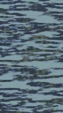 Yaratıcı video düzenleme film tasarımı için benzersiz hareket grafikleri biçimi giriş hareketi video pro