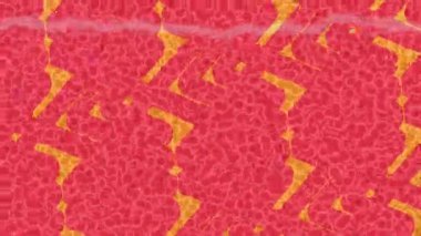 Benzersiz video giriş tasarımı projeleri için detaylı yüzey kalıbı film animasyon stili grafik girişi