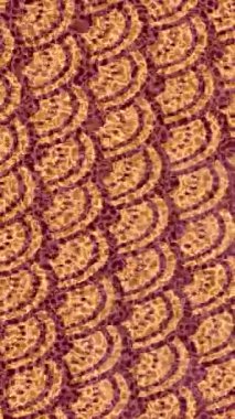 Yaratıcı video düzenleme film tasarımı için benzersiz hareket grafikleri biçimi giriş hareketi video pro