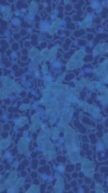 Benzersiz dijital hareket grafiklerine sahip yaratıcı sinematik projeler için yumuşak animasyon yüzeyi